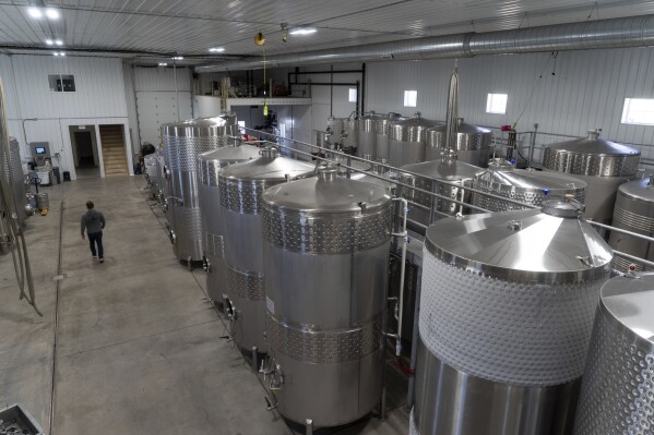 Head winemaker Craig Hosbach walks past rows of wine tanks at Fox Run Vineyards on Friday, March 21, 2025, in Penn Yan, N.Y. (Natasha Kaiser via AP)